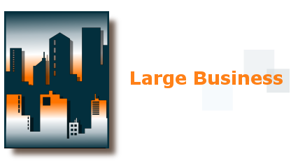 Large Business