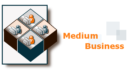 Medium Business